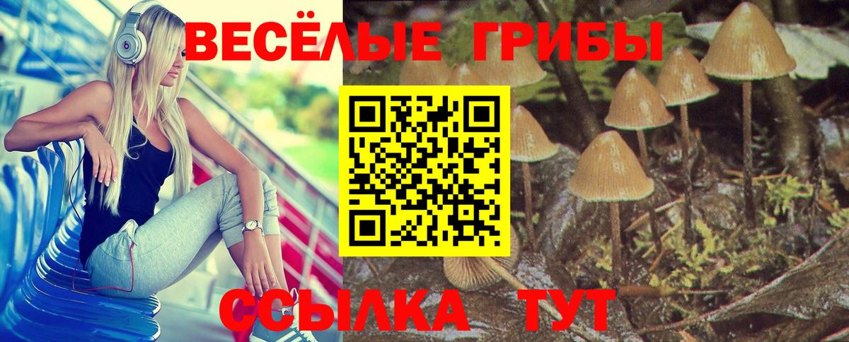 Галлюциногенные грибы Magic Shrooms Елабуга